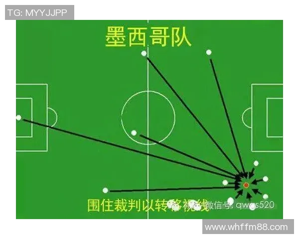 南京排球队的转换打法深度解析与战术创新探讨