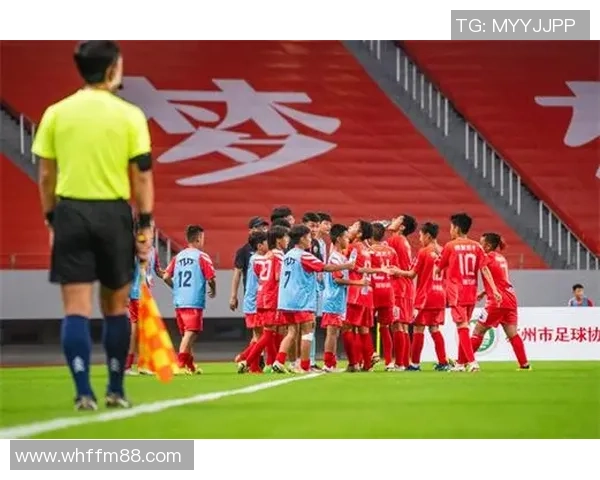 当今世界足球明星的数量与影响力分析