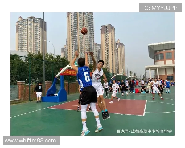 成都篮球队个人能力分析与大满贯点评全面解读