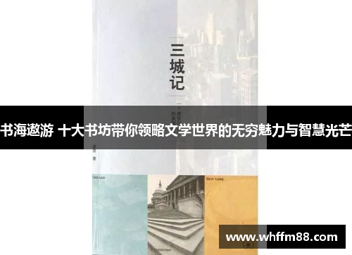 书海遨游 十大书坊带你领略文学世界的无穷魅力与智慧光芒