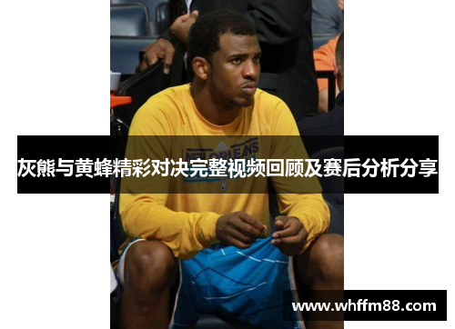 灰熊与黄蜂精彩对决完整视频回顾及赛后分析分享